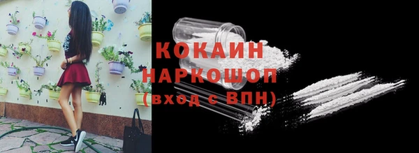 бошки Сатка
