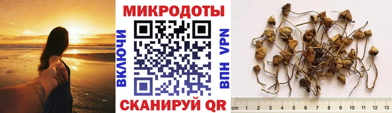 нарко площадка формула  мега   Городец  Галлюциногенные грибы прущие грибы 